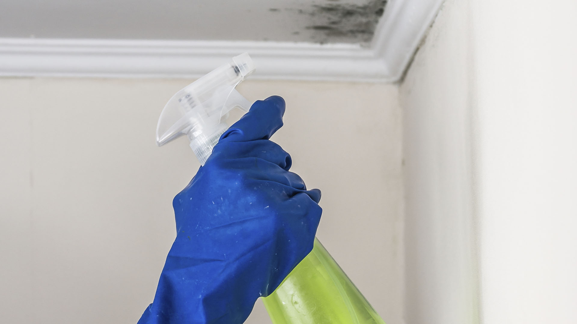 Dicas essenciais para manter seu drywall sempre em perfeito estado!